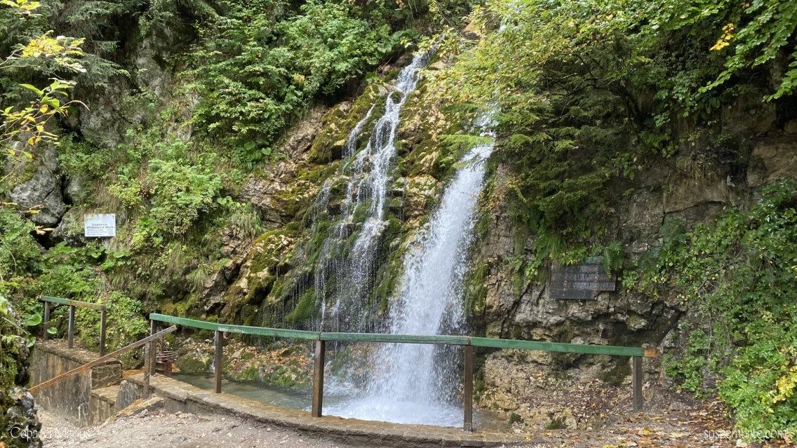 Cascada Urlătoarea